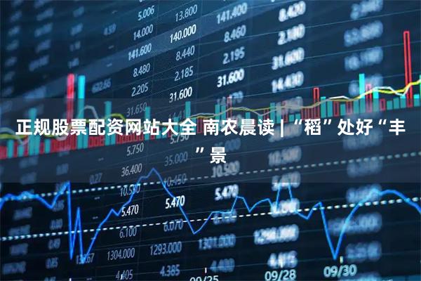 正规股票配资网站大全 南农晨读 | “稻”处好“丰”景